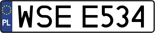 WSEE534