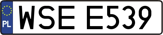 WSEE539