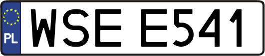 WSEE541
