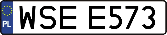 WSEE573