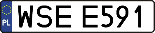 WSEE591