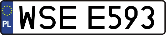 WSEE593