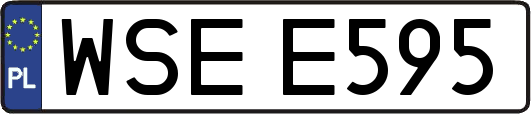 WSEE595