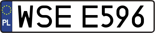 WSEE596