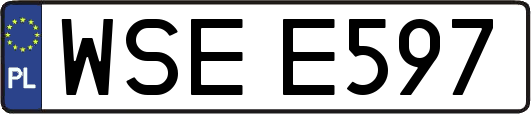 WSEE597