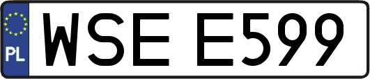 WSEE599