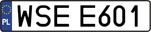 WSEE601
