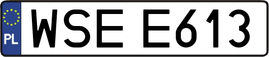 WSEE613