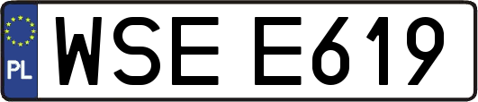 WSEE619