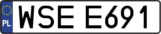 WSEE691