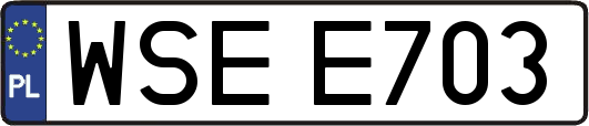 WSEE703