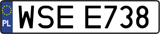 WSEE738