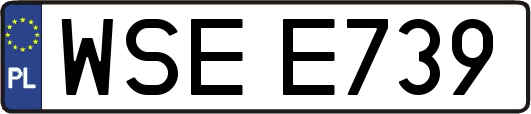 WSEE739