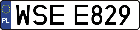 WSEE829