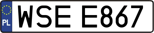 WSEE867