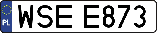 WSEE873
