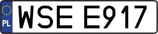 WSEE917