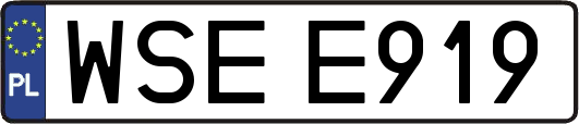 WSEE919