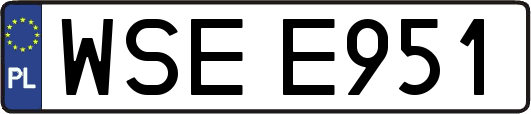 WSEE951