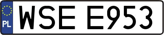 WSEE953