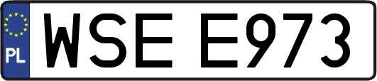 WSEE973