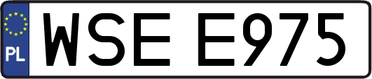 WSEE975