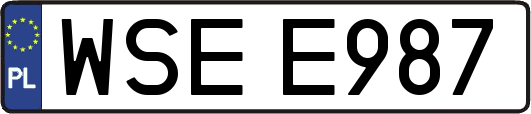 WSEE987