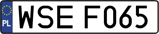 WSEF065