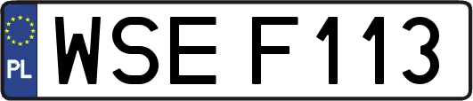 WSEF113