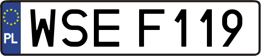 WSEF119