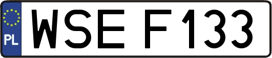 WSEF133