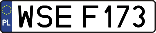 WSEF173