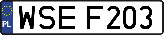WSEF203
