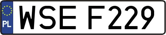 WSEF229