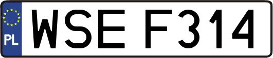 WSEF314