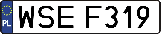 WSEF319