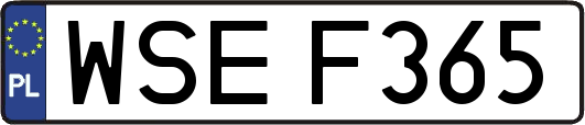 WSEF365