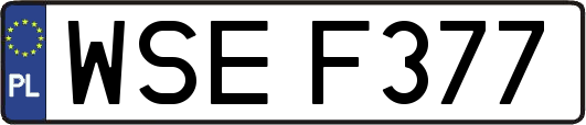 WSEF377