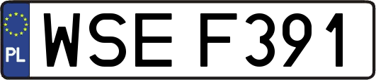WSEF391