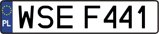 WSEF441