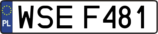 WSEF481