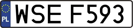 WSEF593