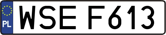 WSEF613