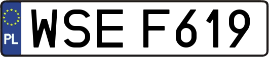 WSEF619