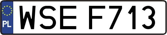 WSEF713