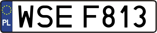 WSEF813