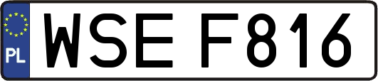 WSEF816