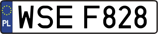 WSEF828