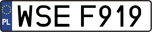 WSEF919