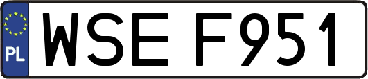 WSEF951